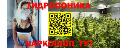 каннабис Ачхой-Мартан