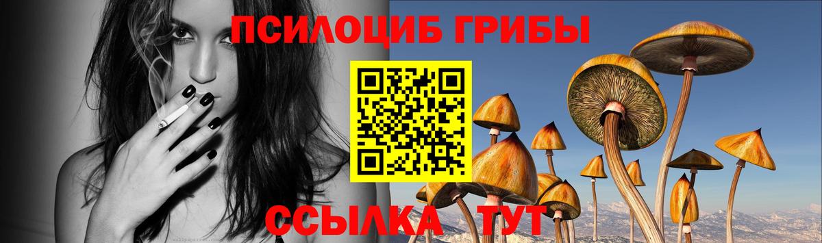 Псилоцибиновые грибы Psilocybe  Галлюциногенные грибы MAGIC MUSHROOMS  Асбест  Вход с VPN 